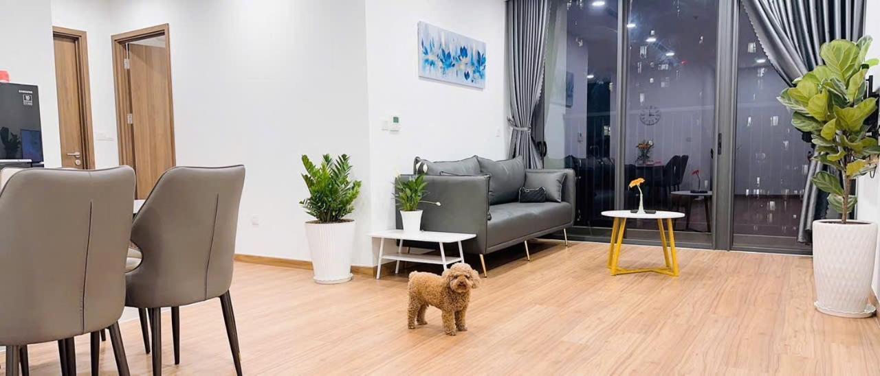 Chung Cu Appartement *